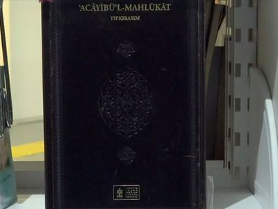 800 yıl önce yazılan depremin haberci olan kara kitap: O kuş türü depremi hissediyor
