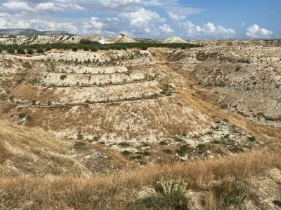 Mut'ta orman köylüleri için zeytin fidanı ağaçlandırma projesi hayata geçirildi