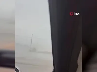 Orta batı ABD'yi etkisi altına alan fırtına can alıyor