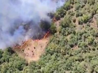 Bursa'nın yeni orman yangını: Ekipler müdahale ediyor