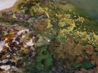 Seyhan Nehri’ndeki çekilme, ortaya çıkan kirlilik vatandaşı endişelendiriyor