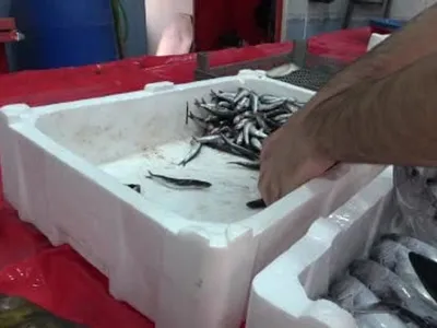 Bingöl'de balık tezgahlarında çeşitlilik arttı