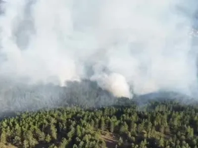 Kastamonu'da çıkan orman yangını söndürüldü: Ekipler soğutma çalışmalarına devam ediyor