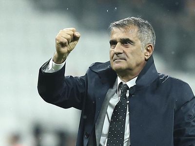 A Milli Takım Teknik Direktörü Şenol Güneş: Tüm Türkiye ve Azerbaycan'ı Mutlu Etmek İstiyoruz