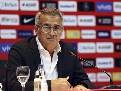 A Milli Takım Teknik Direktörü Şenol Güneş'ten Karadağ Maçı Öncesi Çarpıcı Açıklamalar!
