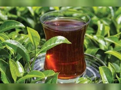 A101, Şok, Migros, Carrefoursa zam sonrası çay fiyatları: Filiz çay fiyatı ne kadar oldu?