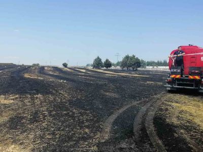 Keşan'da çıkan yangında 12 dönüm buğday ekili alan zarar gördü