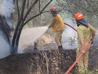 Muğla'da orman yangınına yoğun müdahale sürüyor