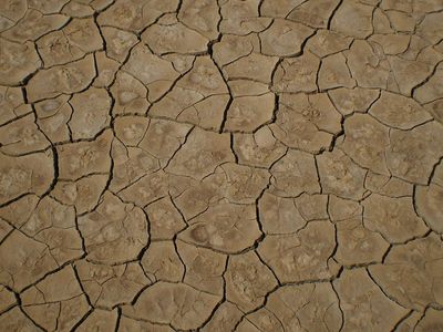 ABD'de Kuralık! Vali, Utah Eyaleti İçin Halkı Yağmur Duasına Davet Etti