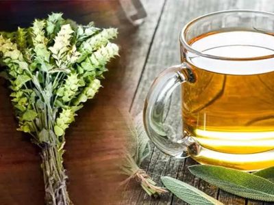 Ada çayının faydaları nelerdir, hangi hastalıklara iyi gelir? Ada çayının mucizevi etkileri