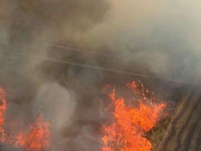 Adana İmamoğlu'ndaki Orman Yangını Kontrol Altına Alındı
