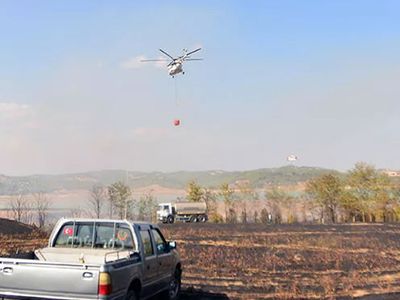 Adana'da Çalılık Yangını! Polis Alarma Geçti
