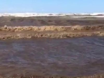 Adana'da Deniz Gemi Atıkları Sebebiyle Siyaha Boyandı