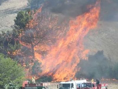 Adana'da korkutan orman yangını! Ekipler havadan ve karadan müdahale ediyor