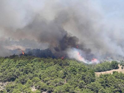 Adana’da korkutan orman yangını: Ekipler müdahale ediyor