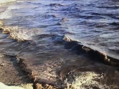 Adana'daki Deniz Kirliliğinin Nedeni Belirlendi