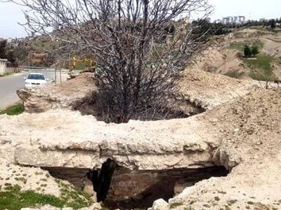 Adıyaman’da 400 Yıllık Tarihi Hamamın İçinde İncir Ağacı Yeşerdi