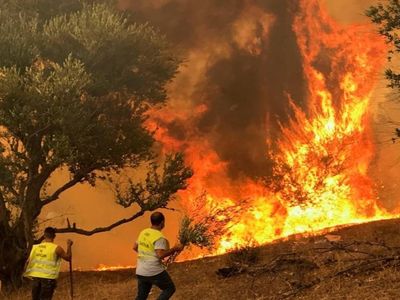 Adıyaman’da orman yangını: Havadan ve karadan müdahale sürüyor