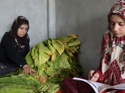 Adıyaman'da Tarlada Çalışıp Tıp Kazandı