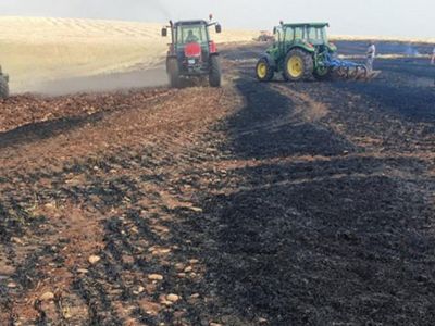 Adıyaman'da Yaklaşık 100 Dönümlük Arpa Telef Oldu