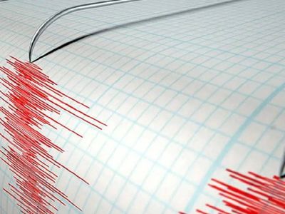 AFAD Başkanı’ndan önemli açıklama: 10 ayda 17 bin deprem yaşandı