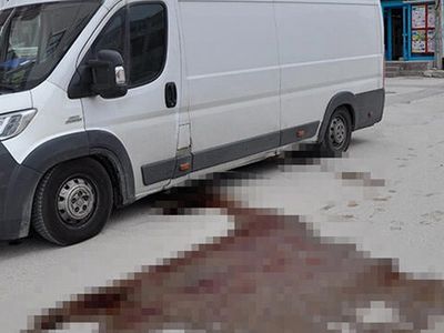 Afyonkarahisar'da Kamyonetten Sızan Kan Korkuttu