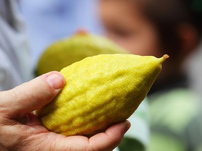 Ağaç Kavunu Nedir, Faydaları Nelerdir?