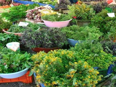 Alaçatı Ot Festivali ne zaman, hangi tarihte? Çeşme Alaçatı Ot Festivali tarihi