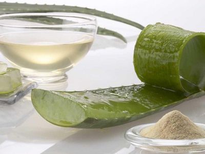 Aloe Vera Çayı ile Kilo Verin
