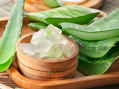 Aloe Vera Cinsellikte Nasıl Kullanılır?