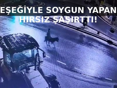 Altınları çalıp eşeğiyle kaçan adam olay sırasında yaşadıklarını anlattı