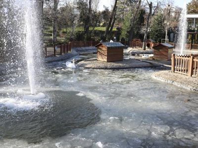 Ankara buz kesti: Termometreler eksi 9’u gördü