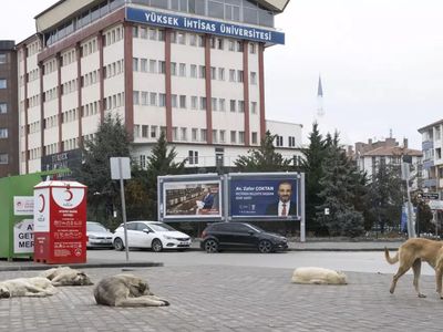 Ankara'da köpek dehşeti: Çocuğu ağır yaraladılar! Mahalle sakinleri isyan etti