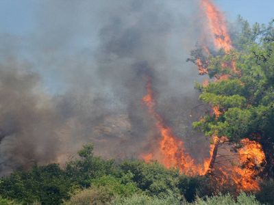 Antalya ve İzmir’de orman yangını: Ekipler müdahale ediyor