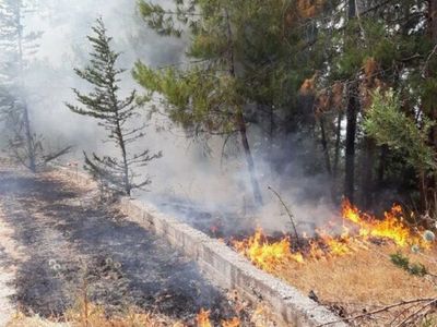 Antalya'da Korkunç Yangın! İki Noktada Orman Yangını Meydana Geldi