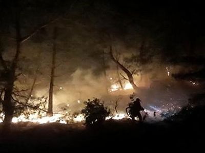 Antalya'da Ormanlık Alanda Yangın