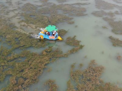 Antalya’daki Boğaçayı'nda Oluşan Kirlilik Giderek Artıyor