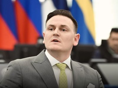 AP'nin Türkiye Raporuna Almanya'dan sert yanıt: AfD Brüksel'i riyakarlıkla suçladı