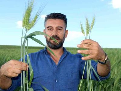 Arkeolojik kazılarda ortaya çıktı! 7 bin yıllık tohumlar ortaya çıktı: Çiftçiler çok umutlu