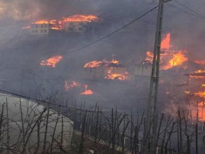 Artvin'de Yangın! 50'ye Yakın Ev Yanıyor