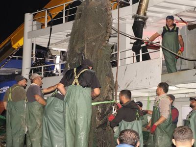 Avlanmak için denize açılmışlardı: Ağlarına uçak parçaları takıldı