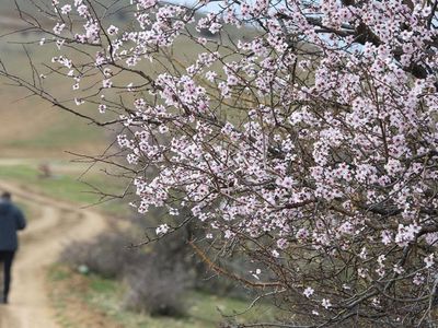 Avrupa Birliği açıkladı: 2024 İlkbaharı tüm zamanların en sıcak ilkbaharı odu