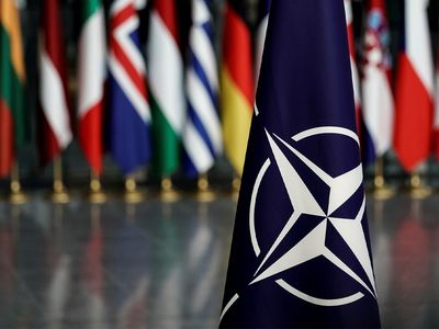 Avrupa'yı Karıştıran Rusya-Ukrayna Krizine NATO Müdahalesi