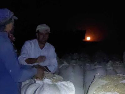 Ay ışığında ekmek kapısı! Diyarbakır'ın kavurucu sıcağından kaçan saman işçileri günlük 500 lira kazanıyorlar