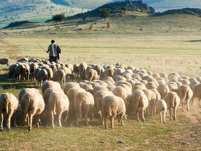 Aylık 30 bin liraya işçi bulamıyorlar: Eskiden o işi yapmak için yalvarıyorlardı