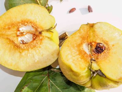 Ayva kabızlık yapar mı, yan etkileri nelerdir? Uzman doktorlar ayvanın yan etkilerine dair merak edilenleri cevapladı