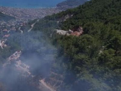 Alanya'da orman yangını 3 saatte kontrol altına alındı