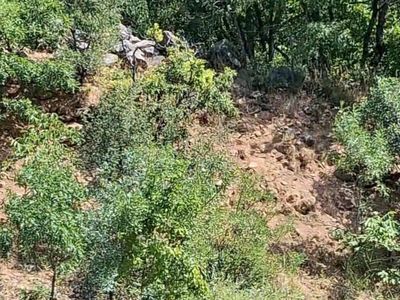 Tunceli'de nesli tehlike altındaki dağ keçileri nehir kenarında görüntülendi
