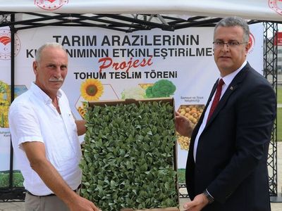 Bafra Ovası'nda 347 Bin Sebze Fidesi Dağıtıldı