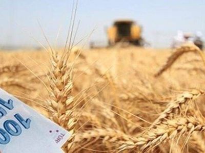 Bakan Kirişçi beklenen haberi verdi: Ödemeler bugün başladı! 756,6 milyon liralık destek hesaplara yattı